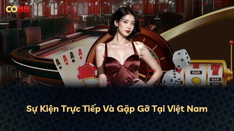 Sự Kiện Trực Tiếp Và Gặp Gỡ Tại Việt Nam