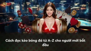 Cách đọc kèo bóng đá từ A-Z cho người mới bắt đầu