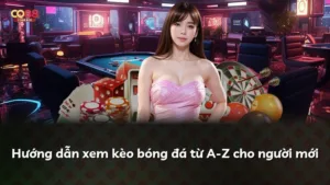 Hướng dẫn xem kèo bóng đá từ A-Z cho người mới
